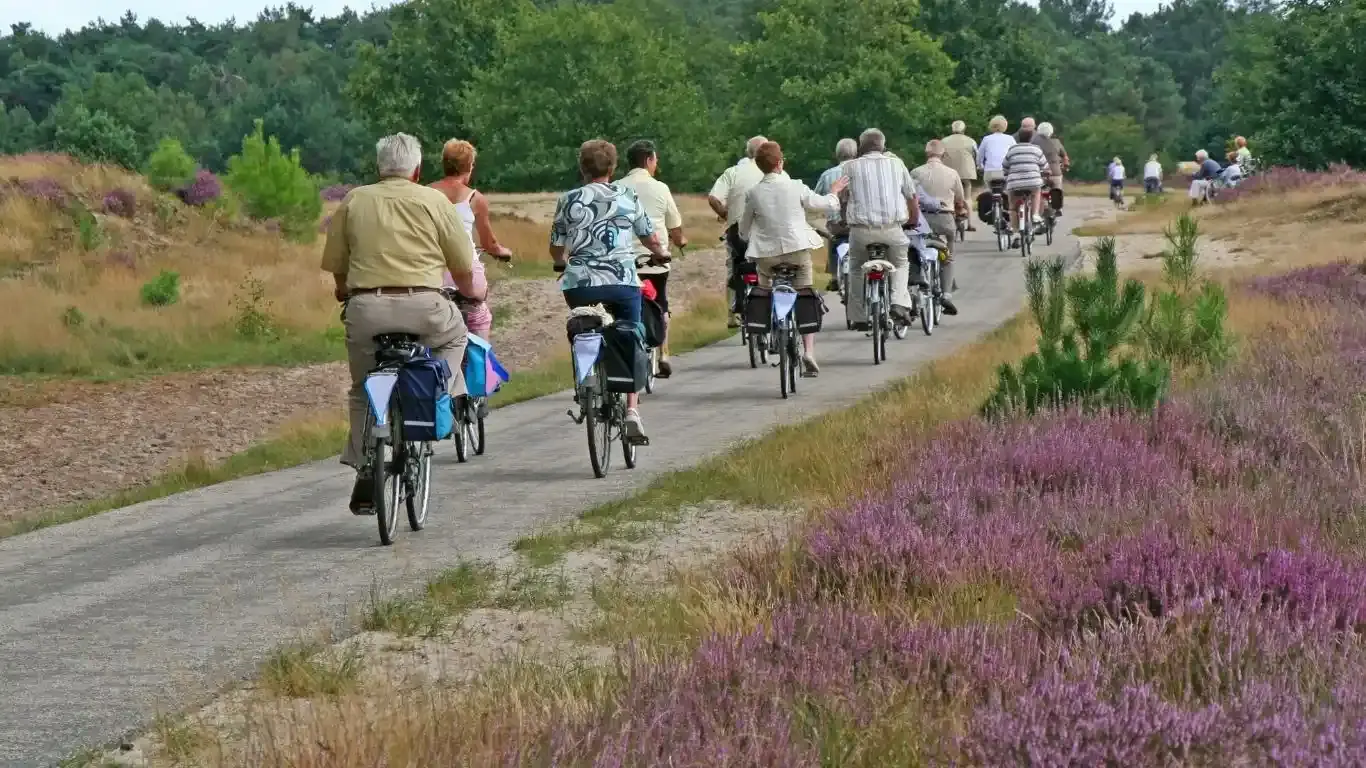 Bicycle Tours